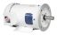 Picture of CEWDM3558T BLD